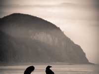 Owl's Head, Fundy National Park