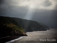 One from a series of a windy , foggy, cloudy, day along the Fundy Trail Parkway , Bay of Fundy.  *ok so this is not 'Albert County' but just down the coast a bit !