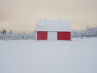 Red and White in Albert County N.B.